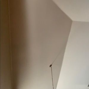 Meet your Posher, Mia